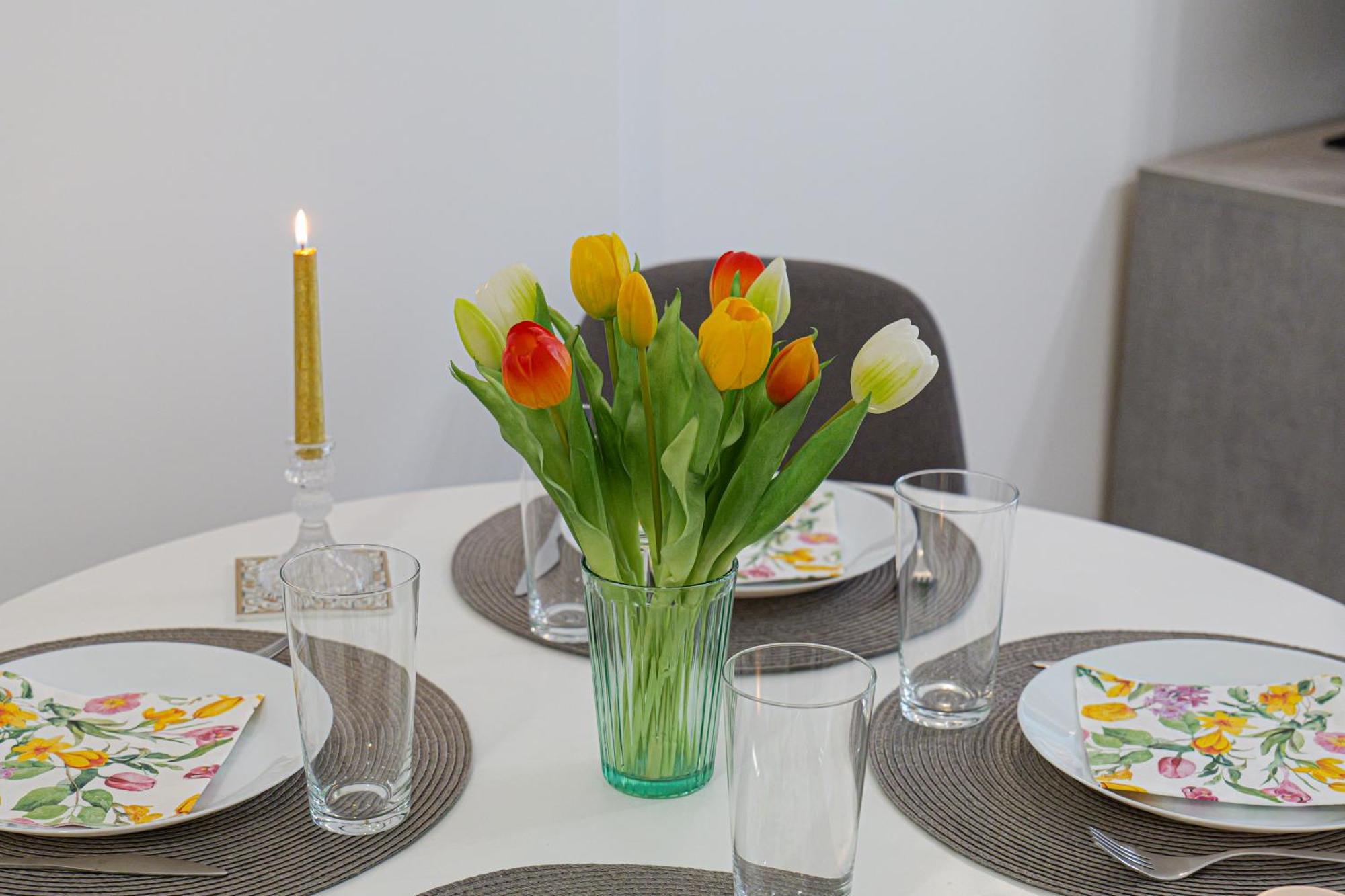 Tulip Dreamland
