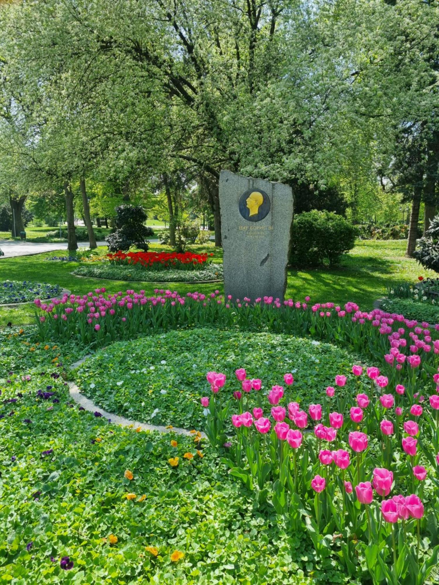 Apartment Tulip Dreamland