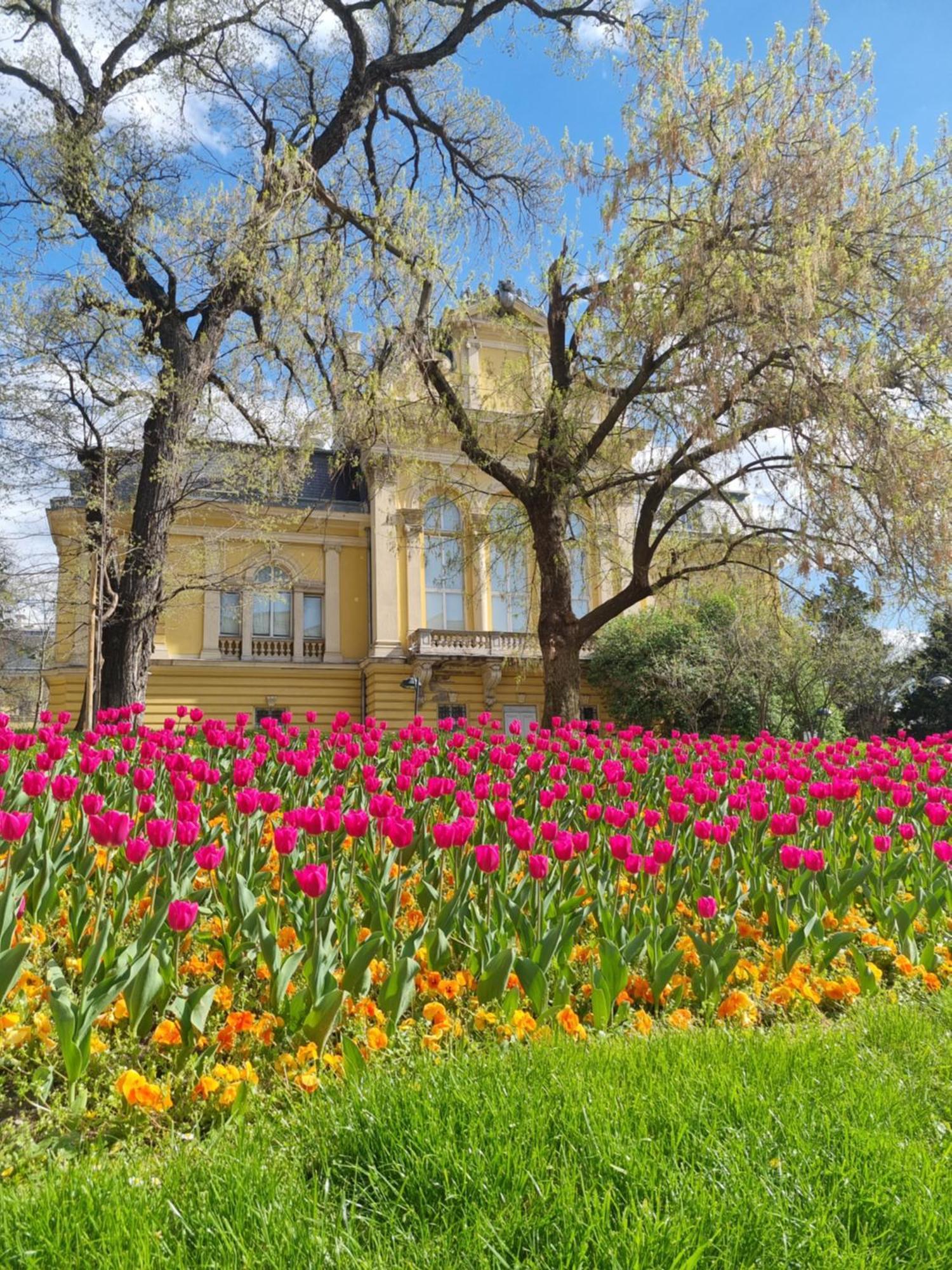 Apartment Tulip Dreamland